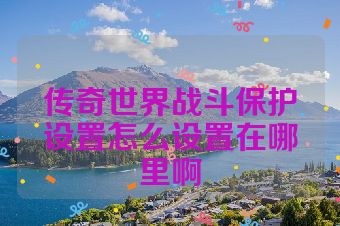 传奇世界战斗保护设置怎么设置在哪里啊