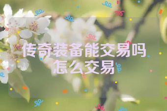 传奇装备能交易吗怎么交易