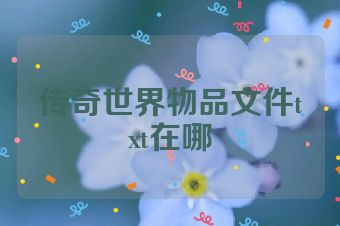 传奇世界物品文件txt在哪