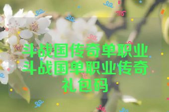 斗战国传奇单职业斗战国单职业传奇礼包码