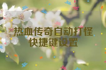 热血传奇自动打怪快捷键设置