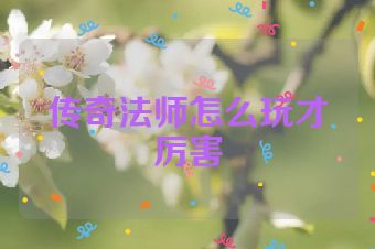 传奇法师怎么玩才厉害