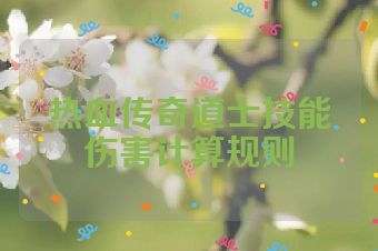 热血传奇道士技能伤害计算规则