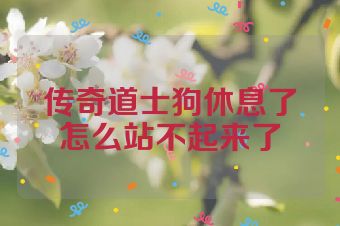 传奇道士狗休息了怎么站不起来了