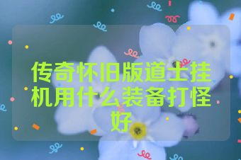 传奇怀旧版道士挂机用什么装备打怪好