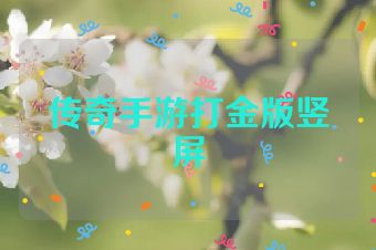 传奇手游打金版竖屏