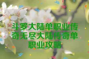斗罗大陆单职业传奇无尽大陆传奇单职业攻略