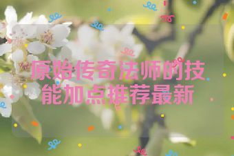 原始传奇法师的技能加点推荐最新