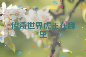 传奇世界虎王在哪里