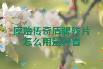 原始传奇盾牌残片怎么用最好看