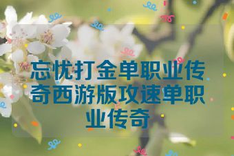 忘忧打金单职业传奇西游版攻速单职业传奇