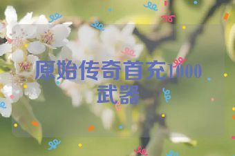 原始传奇首充1000武器