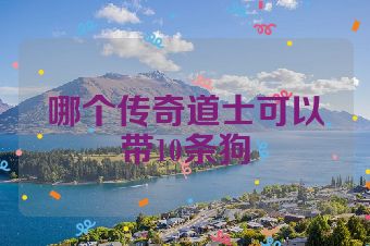 哪个传奇道士可以带10条狗
