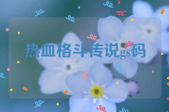 热血格斗传说gs码