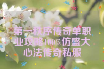 第一秩序传奇单职业攻略100%仿盛大心法传奇私服