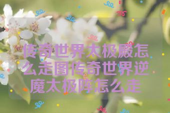 传奇世界太极殿怎么走图传奇世界逆魔太极阵怎么走