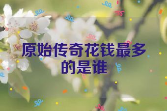 原始传奇花钱最多的是谁