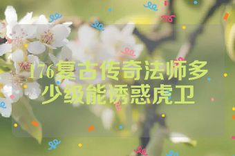 176复古传奇法师多少级能诱惑虎卫
