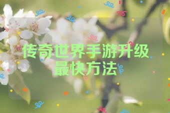 传奇世界手游升级最快方法