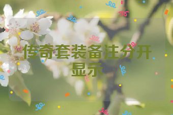 传奇套装备注分开显示
