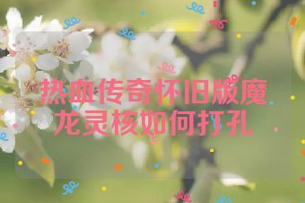 热血传奇怀旧版魔龙灵核如何打孔