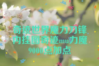 奇迹世界魔力刀锋内挂图奇迹mu力魔9000点加点
