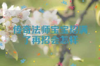 传奇法师宝宝招满了再招会怎样