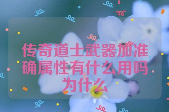 传奇道士武器加准确属性有什么用吗为什么