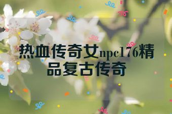 热血传奇女npc176精品复古传奇