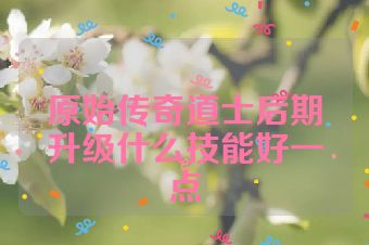 原始传奇道士后期升级什么技能好一点