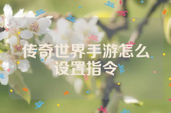 传奇世界手游怎么设置指令