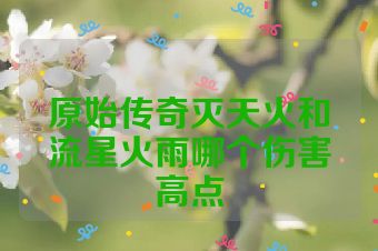 原始传奇灭天火和流星火雨哪个伤害高点