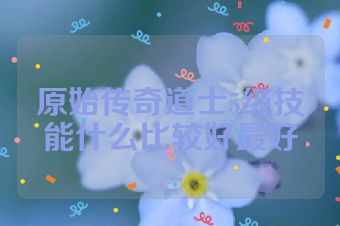 原始传奇道士5级技能什么比较好最好