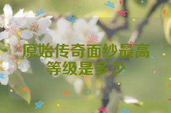 原始传奇面纱最高等级是多少