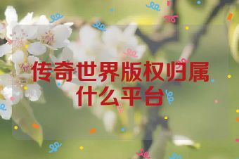 传奇世界版权归属什么平台