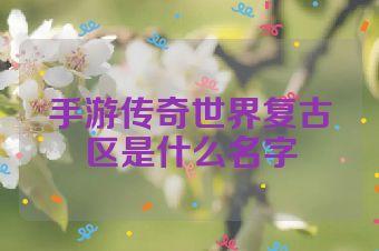 手游传奇世界复古区是什么名字
