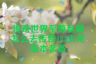 传奇世界至尊皇朝怎么去传奇185火龙版本装备