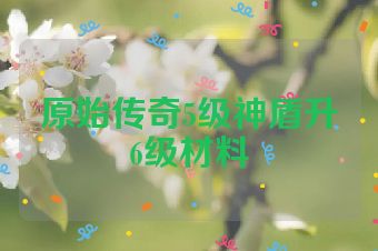 原始传奇5级神盾升6级材料