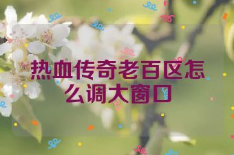 热血传奇老百区怎么调大窗口