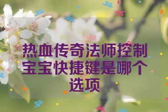 热血传奇法师控制宝宝快捷键是哪个选项