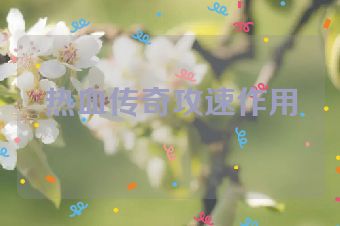 热血传奇攻速作用
