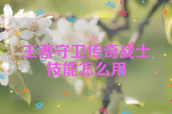 王者守卫传奇战士技能怎么用