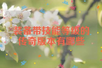 装备带技能等级的传奇版本有哪些