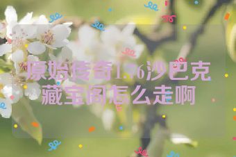 原始传奇1.76沙巴克藏宝阁怎么走啊