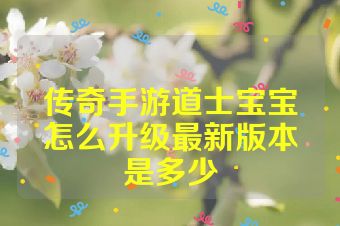 传奇手游道士宝宝怎么升级最新版本是多少