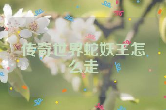 传奇世界蛇妖王怎么走
