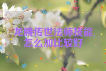 龙腾传世法师技能怎么加比较好