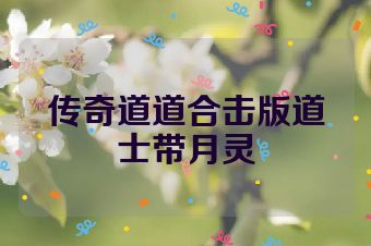 传奇道道合击版道士带月灵