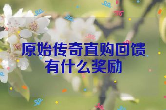 原始传奇直购回馈有什么奖励
