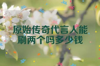 原始传奇代言人能刷两个吗多少钱